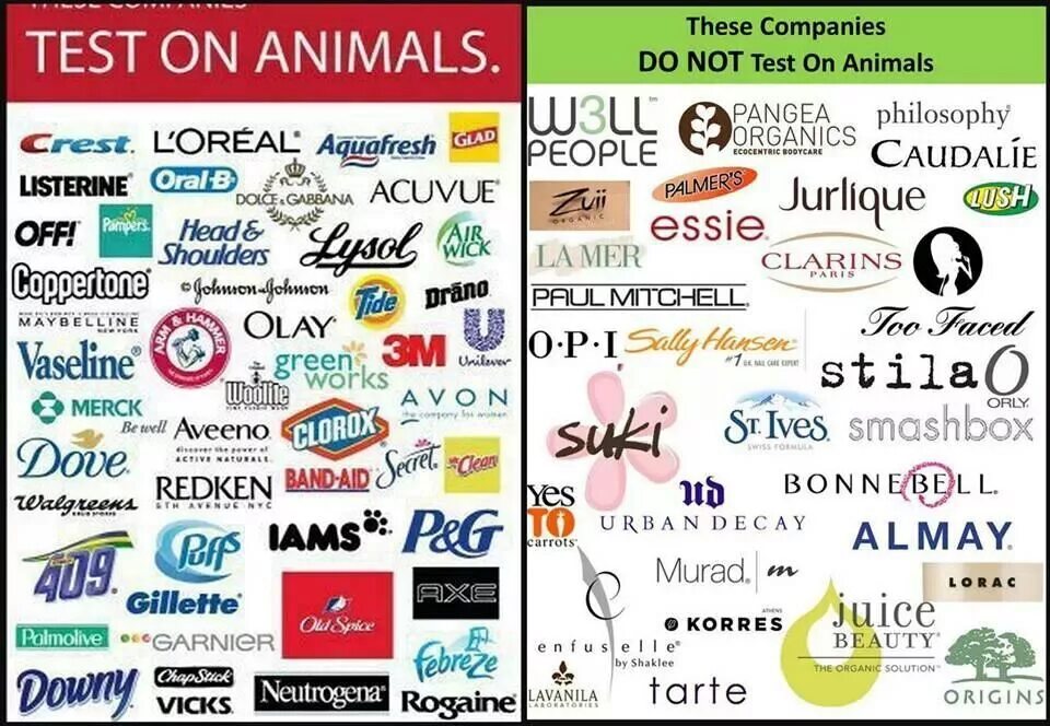 This company is a not