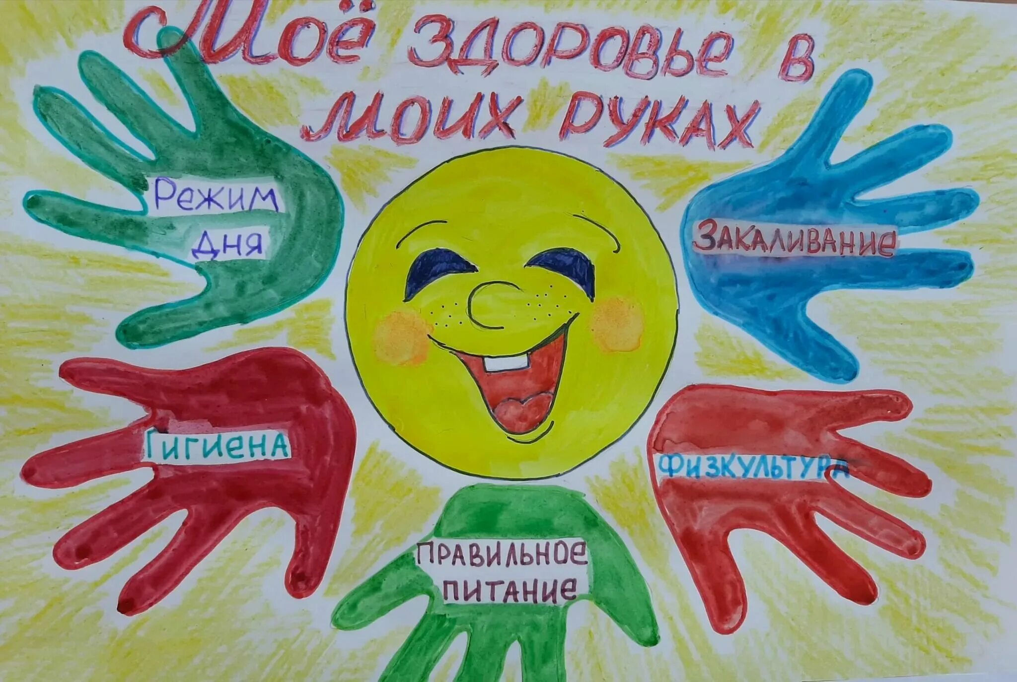 Ктд зож