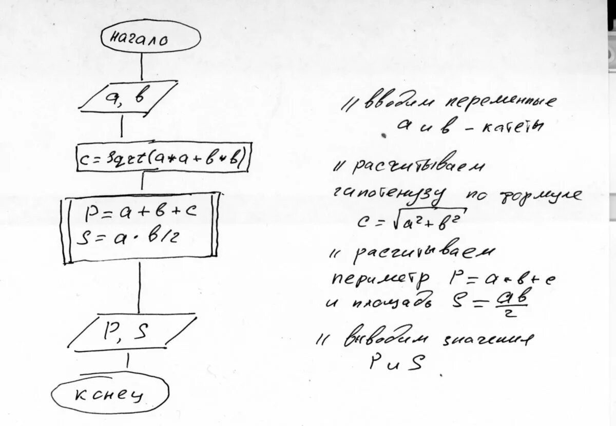 Блок схема вычисления площади прямоугольника Блок схема для нахождения площади треугольника