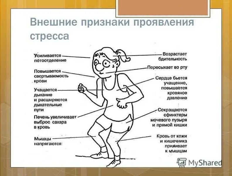 Где проявляется человек