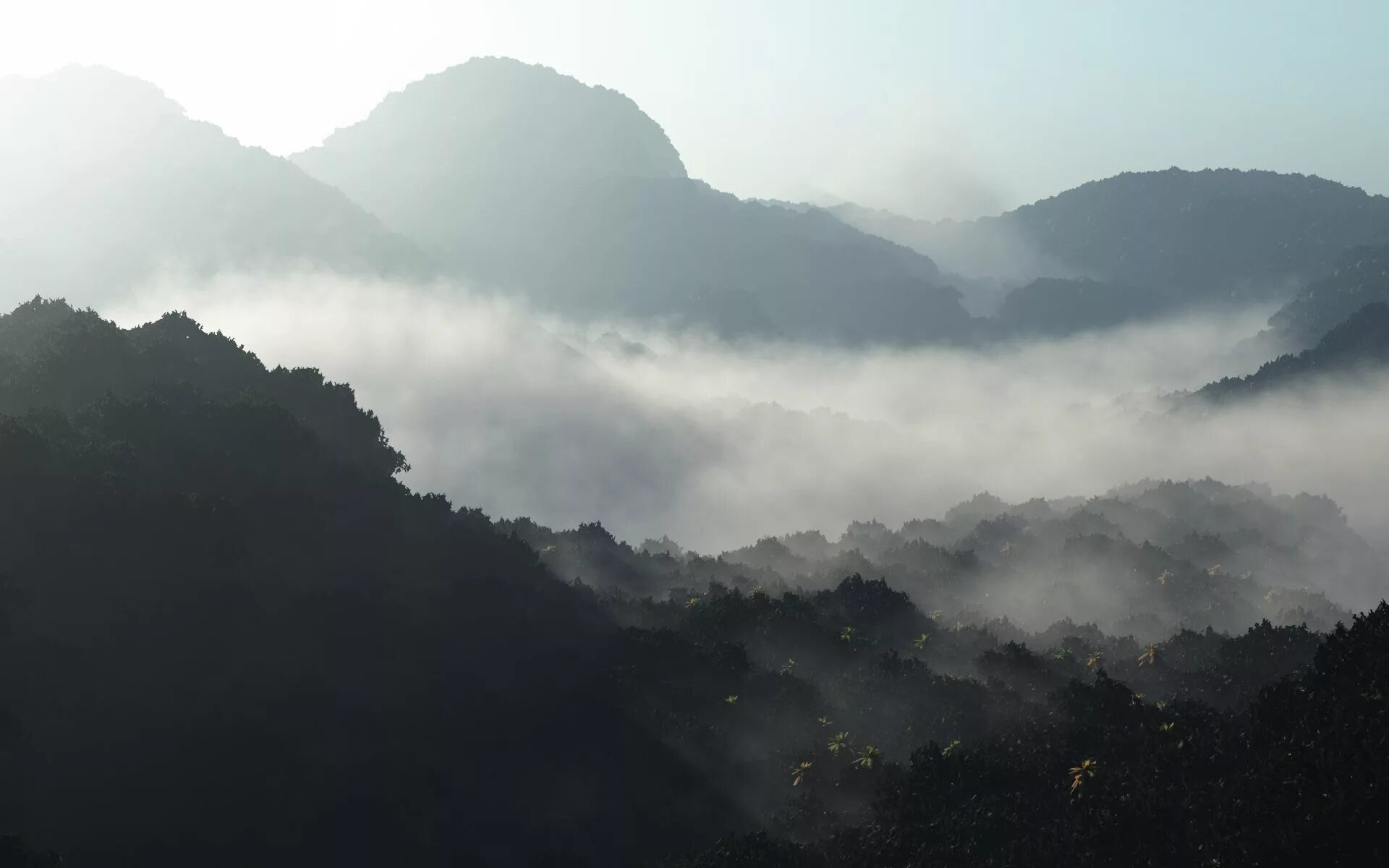 Холмы туман. Туманный лес Анды горы. Хэйчжу, Китай. Гори туман. Горы в тумане.