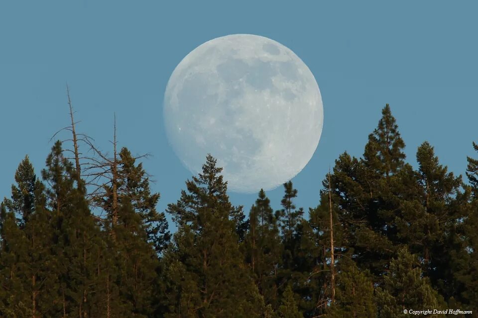 Lua type. Hoddybuchanon lua s.
