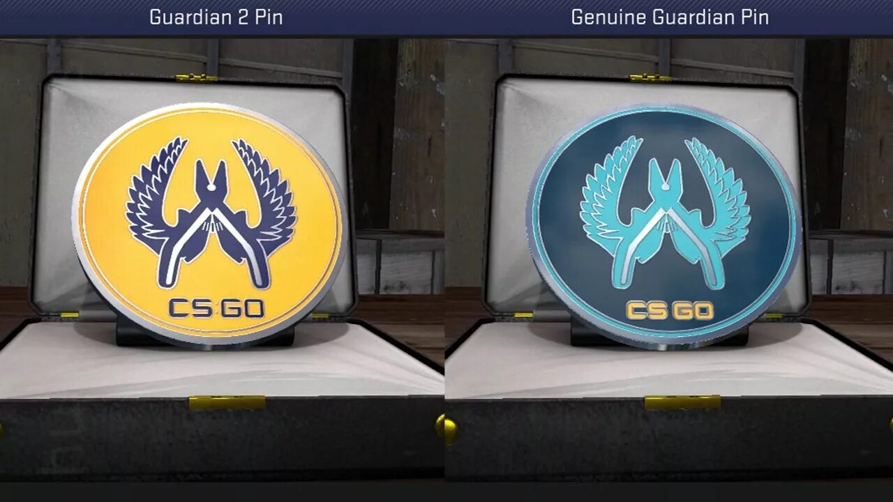 Cs pin. Кс го гвардиан значок. guardians значок. guardian pin. guardian 2 pin.