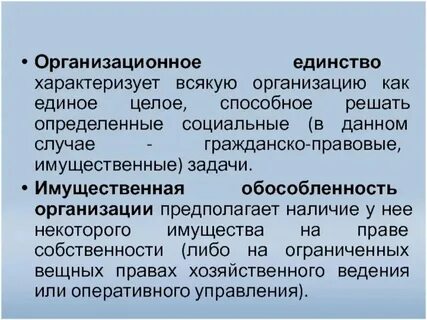 Организационное единство предприятия