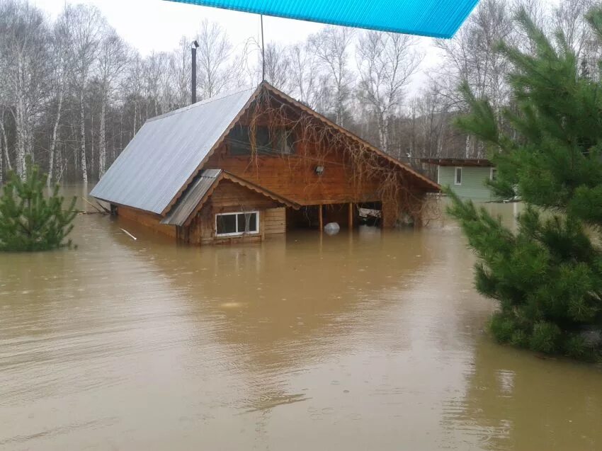 Вода осинники