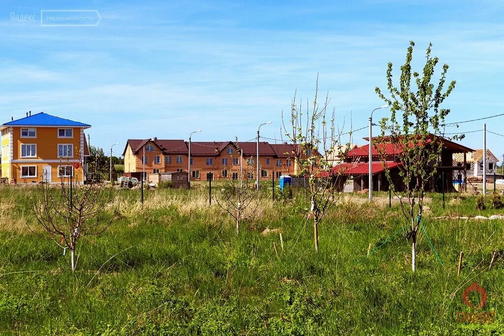 Кп дворцовые предместья. Деревня низино ленинградская область. Деревня низино. Шинкарский пруд низино. Жк мандарин низино.