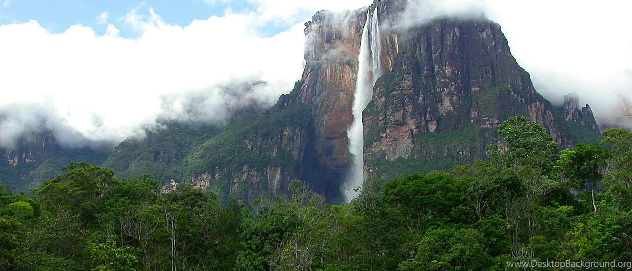 Самый высокий водопад гвианском плоскогорье. Водопад Анхель Венесуэла. Исток водопада Анхель. Самый высокий водопад в мире Анхель. Самый высокий водопад в Венесуэле.