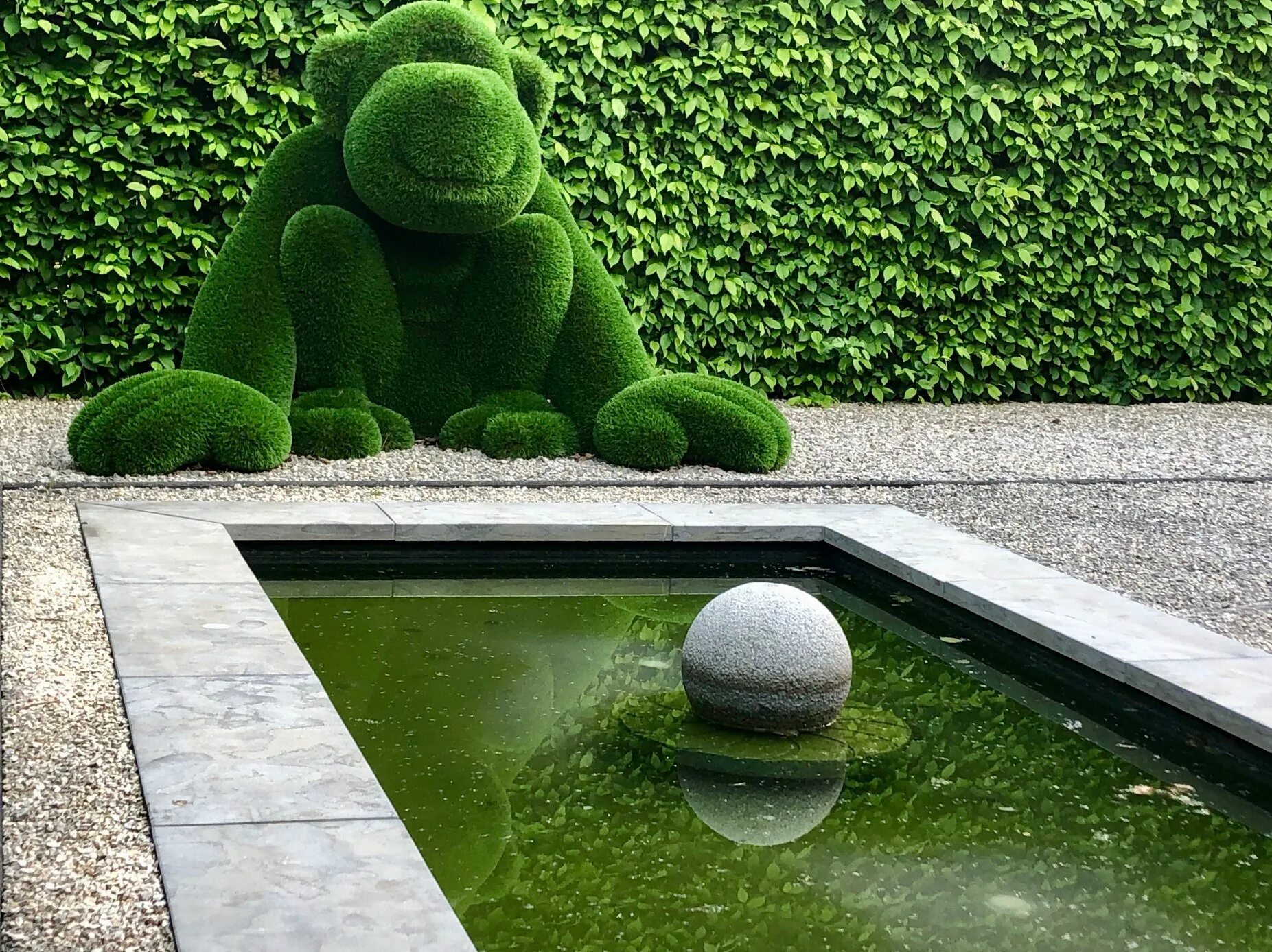 Топиари бачо. Бык бачо. Горилла с прической площадка. Бачо. Топиари бачо.