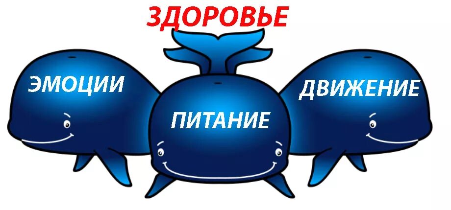 график работы три кита