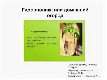 Способ выращивания без почвы как называется. Технология выращивания растений без почвы. технология выращивания комнатных растений без почвы. сообщение о гидропонике. способ выращивания растений без почвы как называется.