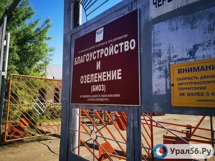 Казенные учреждения благоустройства