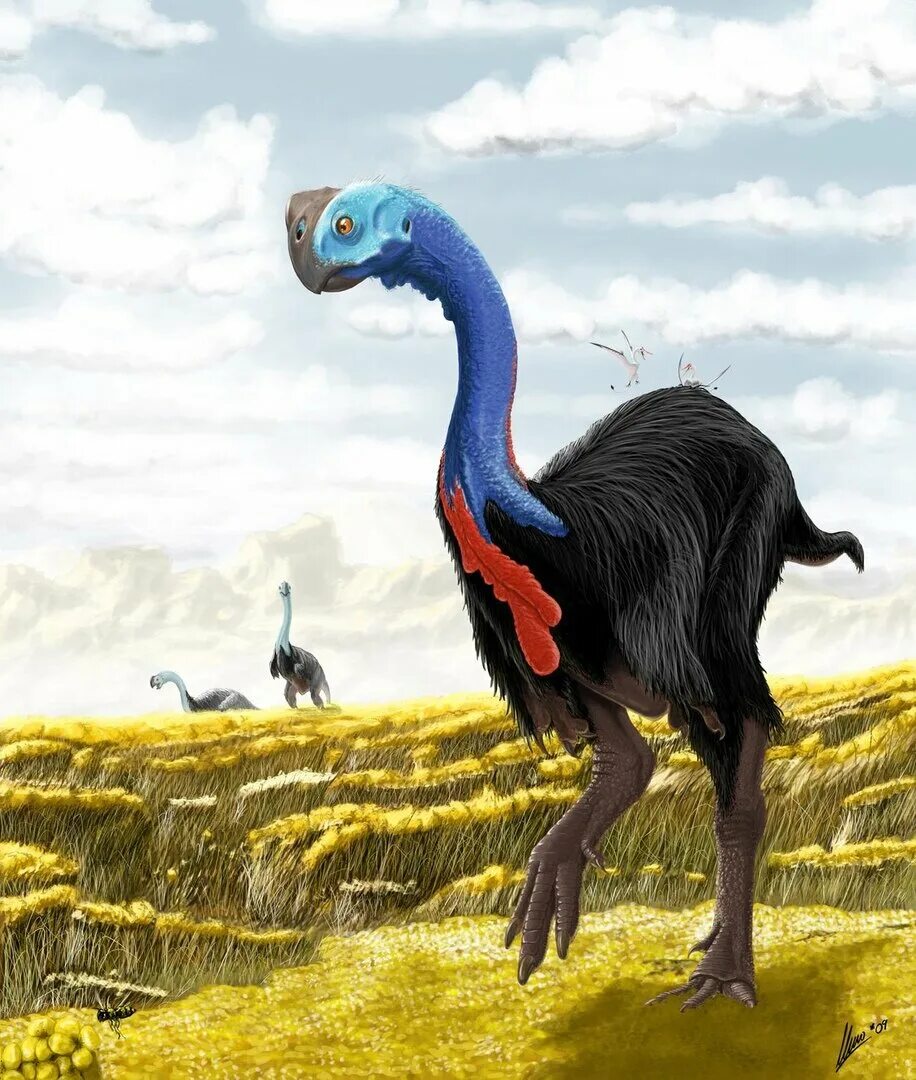 Гигантораптор. Gigantoraptor erlianensis. гигантораптор динозавр. гигантораптор арк. овираптор и гигантораптор.