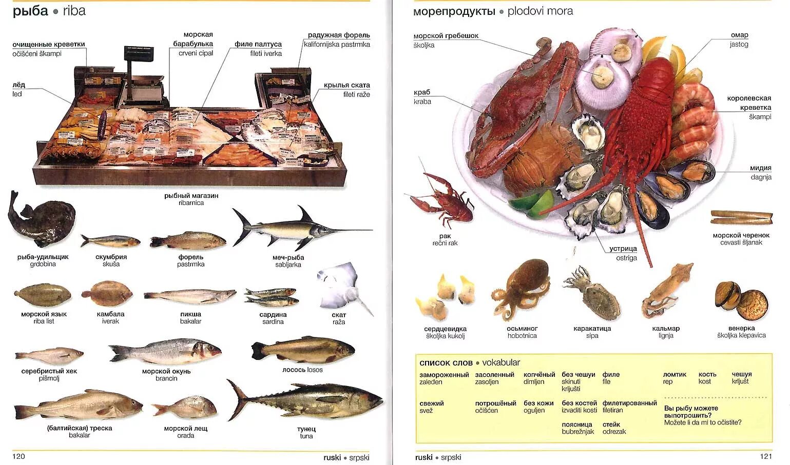 Морепродукты список названий. Морепродукты на английском. Морские гады список. Замороженные морепродукты. Морские гады список.