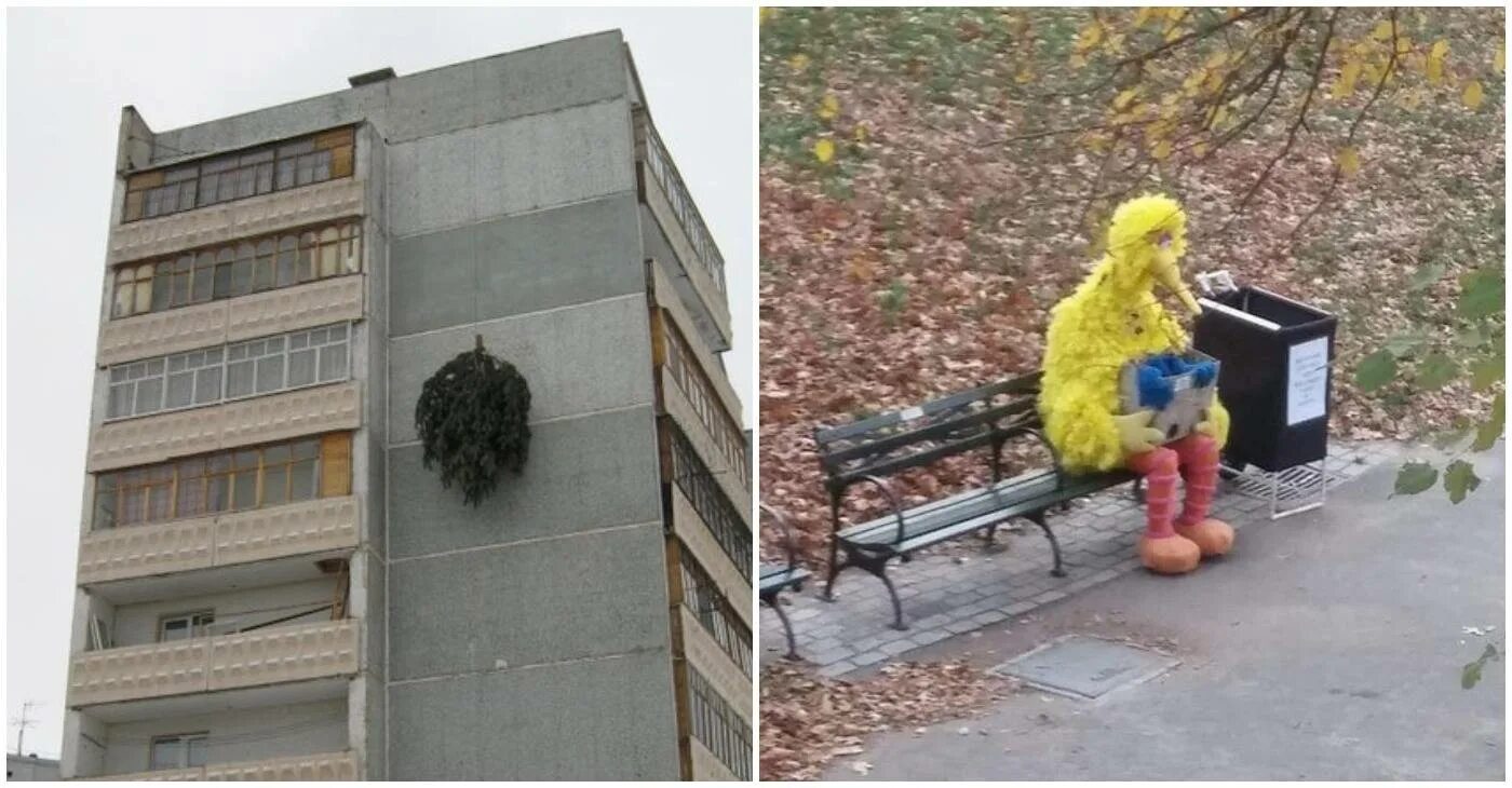 После просмотра которых