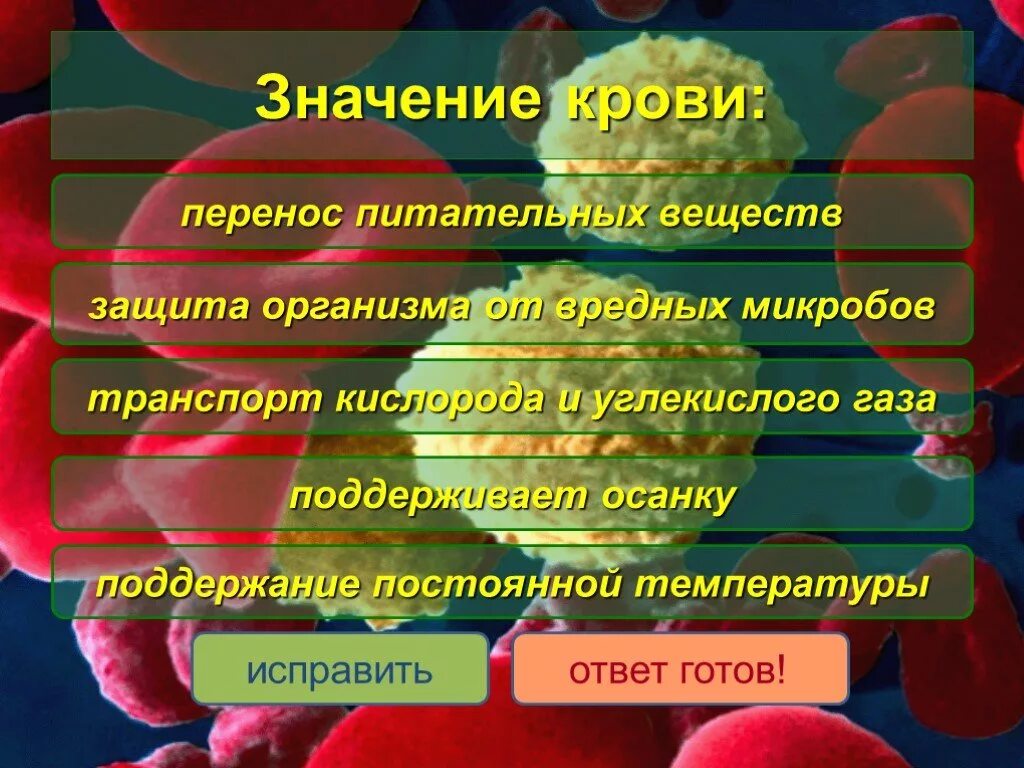 Какого значение крови для организма. Питательные вещества в крови. Какое значение для организма имеет кровь. Значение крови. Значение крови для организма.