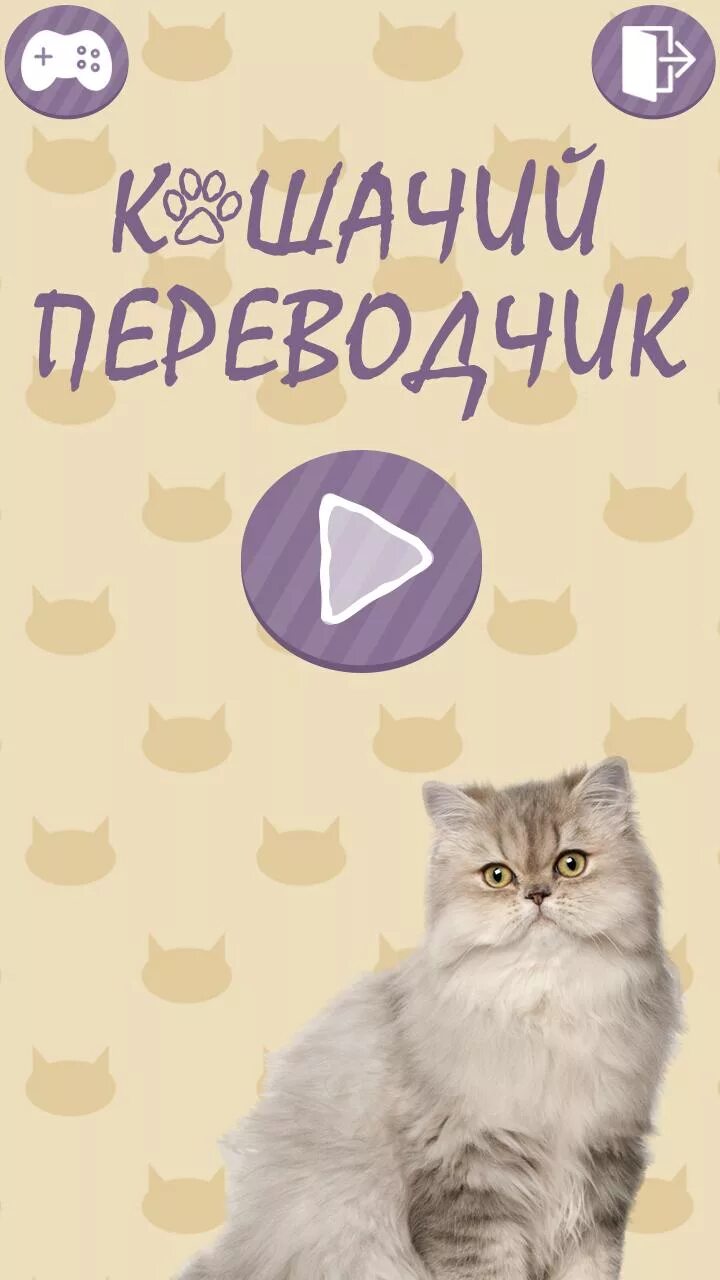 Переводчик на кошачий язык. Кошачий язык переводчик. переводчик для кошек. перевод с русского на кошачий язык. переводитель кошачьего языка.