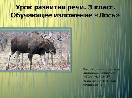 3 класс изложение лось презентация