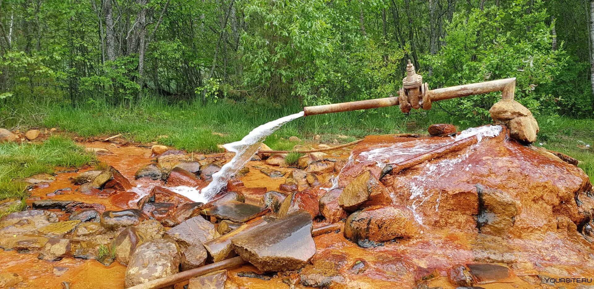 Нарзан где находится. Поляна Нарзанов Эльбрус. Поляна Нарзанов Приэльбрусье. Поляна Нарзанов Кисловодск. Поляна Нарзанов Поляна Чегет.