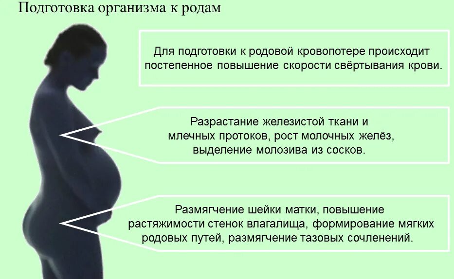 Насчет беременности. Подготовка организма беременной к родам. Признаки беременности в первые дни после зачатия до задержки. Симптомы беременности на первой неделе после зачатия. Начальные симптомы беременности.
