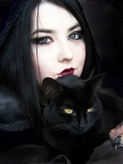3 кота готы