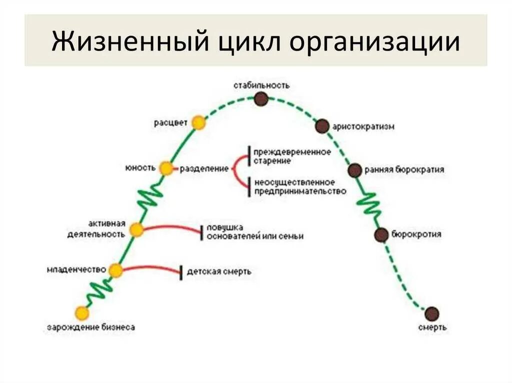 Жизненный цикл проблемы. Модель жизненного цикла предприятия Адизеса. Стадии жизненного цикла компании по Адизесу. Теория жизненных циклов организации и.Адизеса. Жизненный цикл организации по Грейнеру и Адизесу.