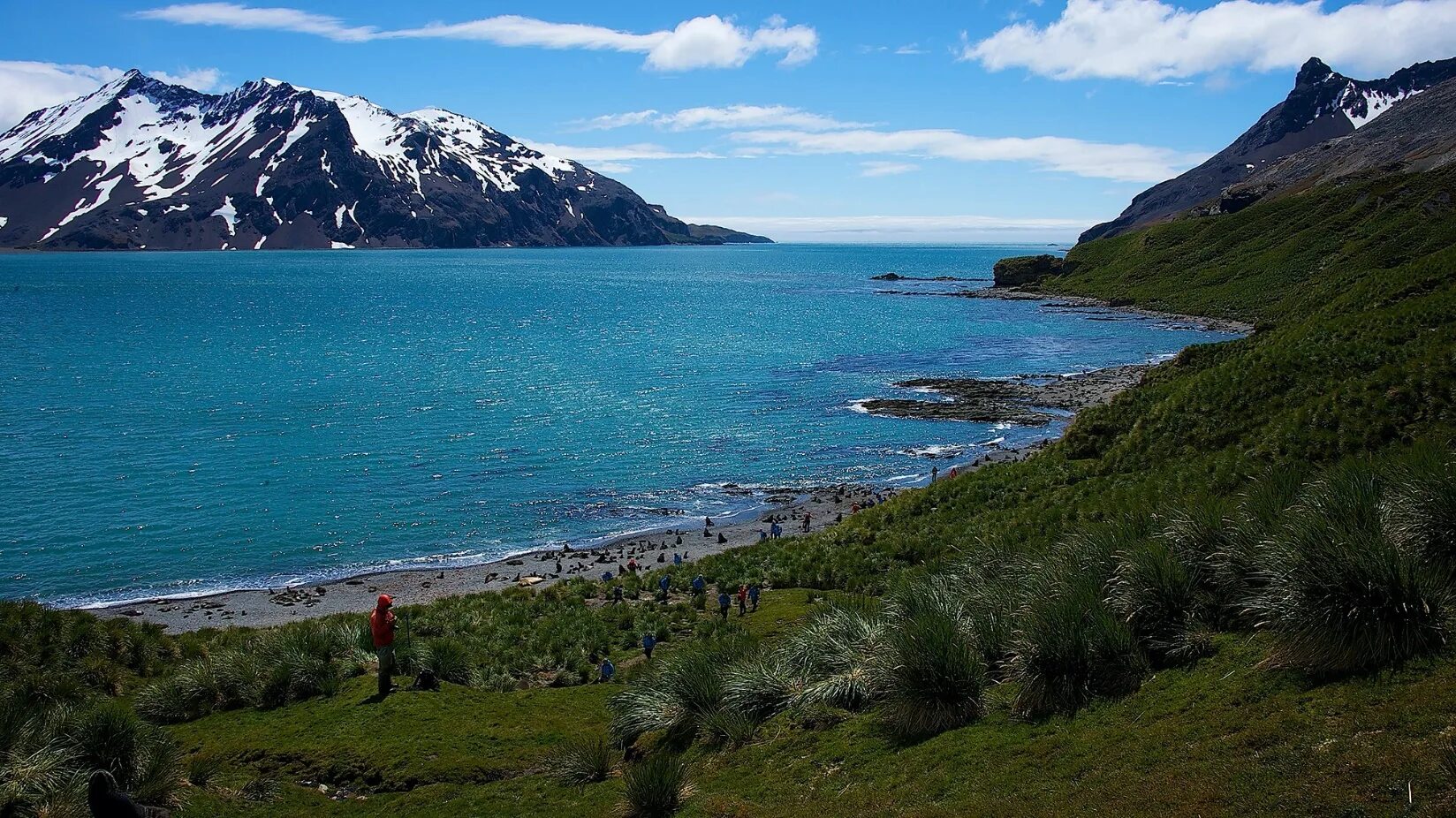 Фолклендские (мальвинские) острова. Восточный фолкленд. Фолклендские (мальвинские) острова. Фолклендские острова история. Фолклендские острова природа.