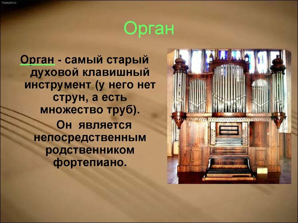 Орган инструмент. Сообщение об органе. Орган музыкальный. Доклад про орган.