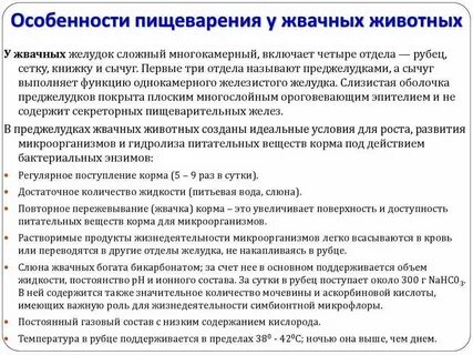 Норма сокращения рубца