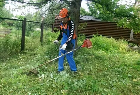 Скошу участок