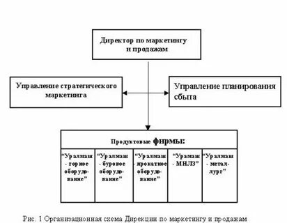 Дирекция по маркетингу. Структура мгу ломоносова. Дирекция по маркетингу. Маркетинг в аптечной сети. Дирекция по маркетингу.