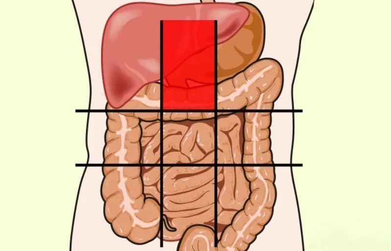 Болит верхняя часть желудка. Нижняя часть живота. Карта боли в животе. Карта болезней живота. Фланги живота.