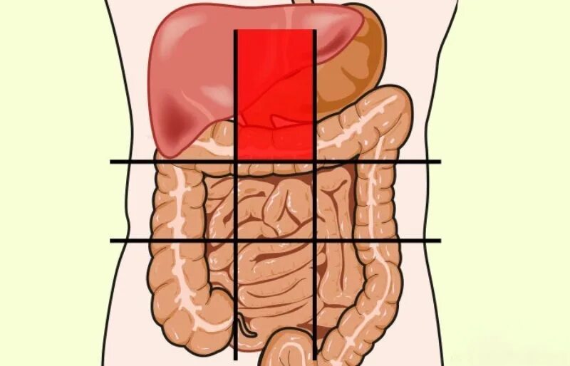 Средняя часть живота. Нижняя часть живота. Карта боли в животе. Карта болезней живота. Фланги живота.