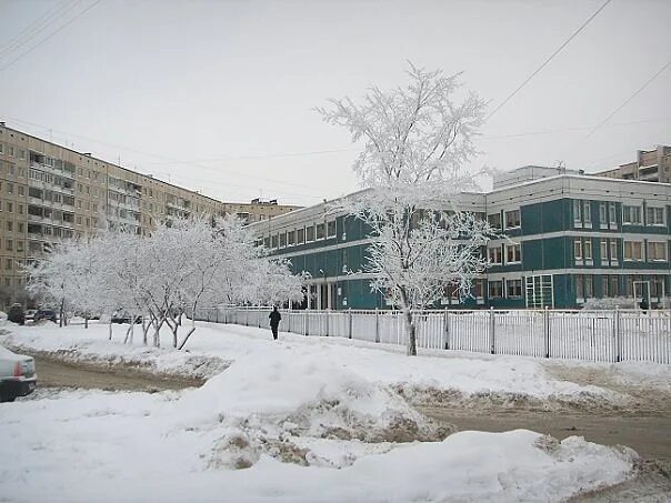 Гимназия 405 спб. Гимназия 405 спб. 405 гимназия красногвардейского. Гимназия 177 санкт-петербург. Гимназия 405 санкт-петербург.