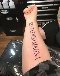 Sic parvis magna