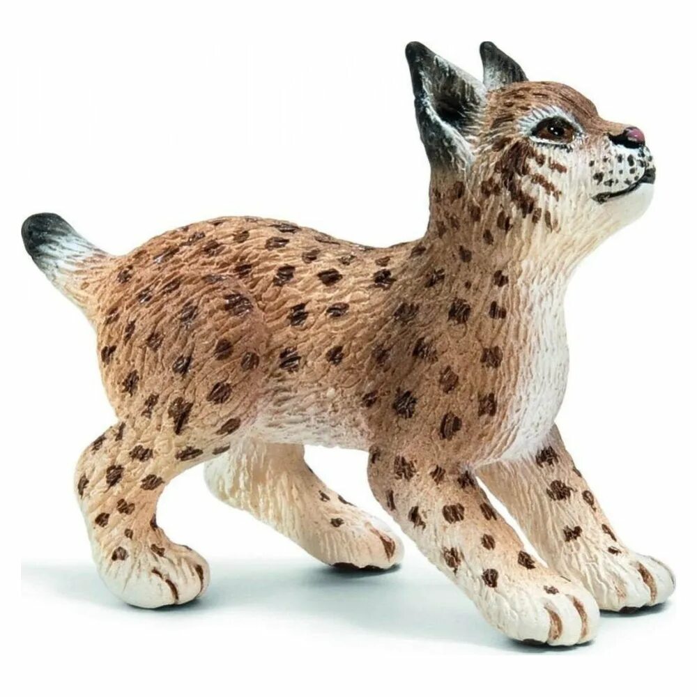 Дикие животные купить. Schleich Рысь 14822. Фигурка Schleich Рысь 14822. Рысь шляйх. Шляйх Дикие звери.