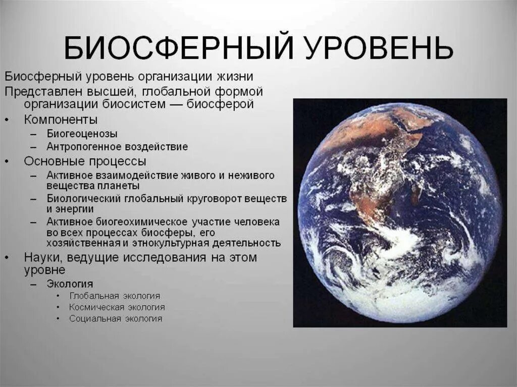 Биосферный уровень организации жизни. Биосферный уровень организации жизни на земле. Биосферный уровень организации компоненты. Биосферный уровень жизни.