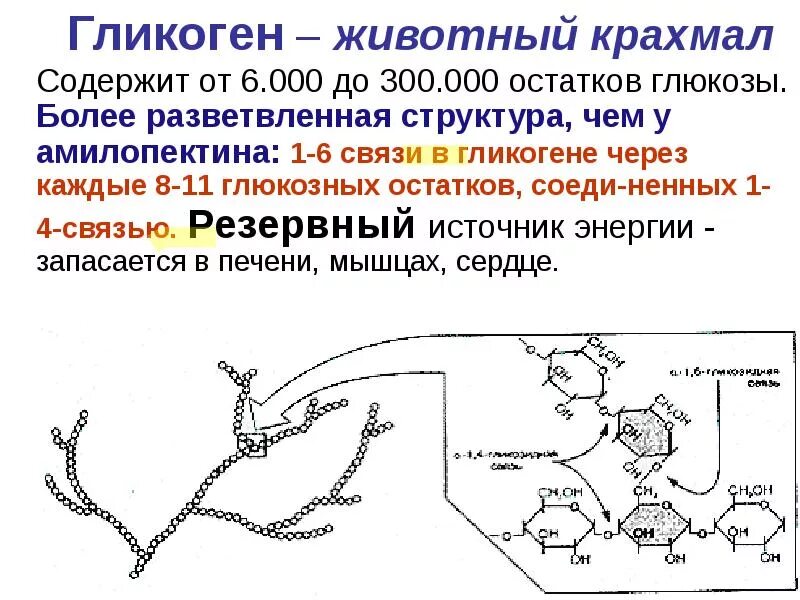 Печень запасает гликоген. Гликоген формула химическая строение. Строение гликогена формула. Гликоген строение молекулы. Химическое строение гликогена.