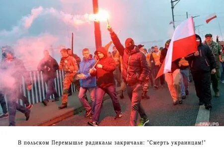 Пол радикалы