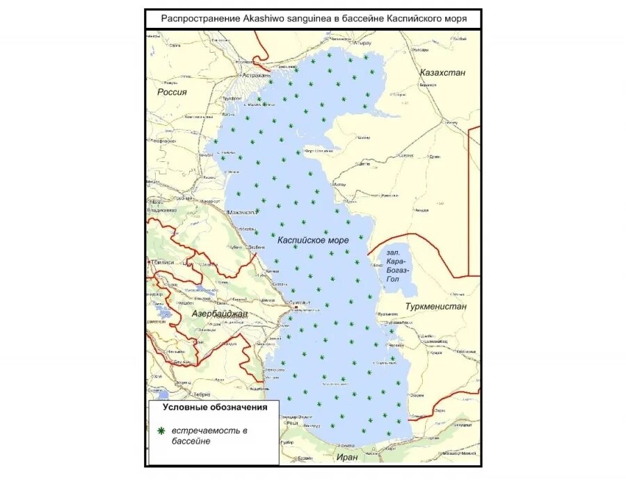 Физическая карта каспийского моря. Бассейн Каспийского моря реки. Бассейн Каспийского моря на карте. Волжско-Каспийский бассейн границы. Каспийский бассейн границы.