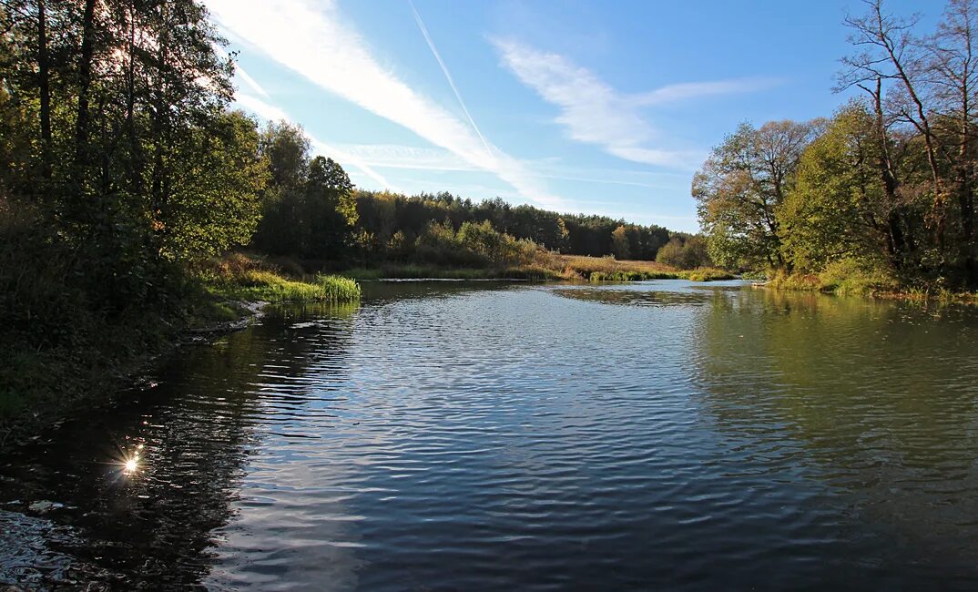суходрев апрелевка