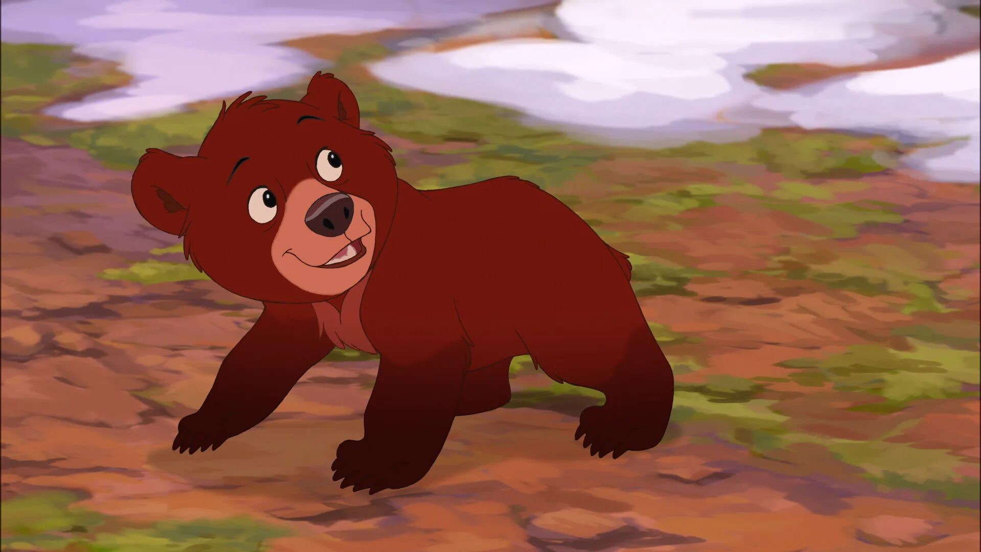 Медведь мультик. Мультфильм братец медведь. Почему медведь из мультика. Братец медвежонок медведи. Братец медвежонок кенай.