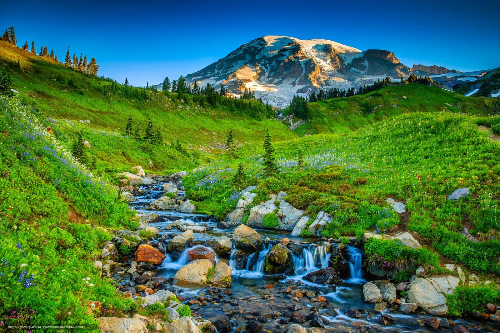 Пейзаж холмы. Paradise mount rainier national park. Landscape html. Горный ручей пейзаж. Старый мост слигчейн остров скай шотландия.
