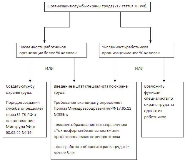 Статус и подчиненность службы охраны труда организации. Состав службы охраны труда на предприятии. Организационная структура охраны труда на предприятии. Структура охраны труда на предприятии. Структура службы охраны труда на предприятии.