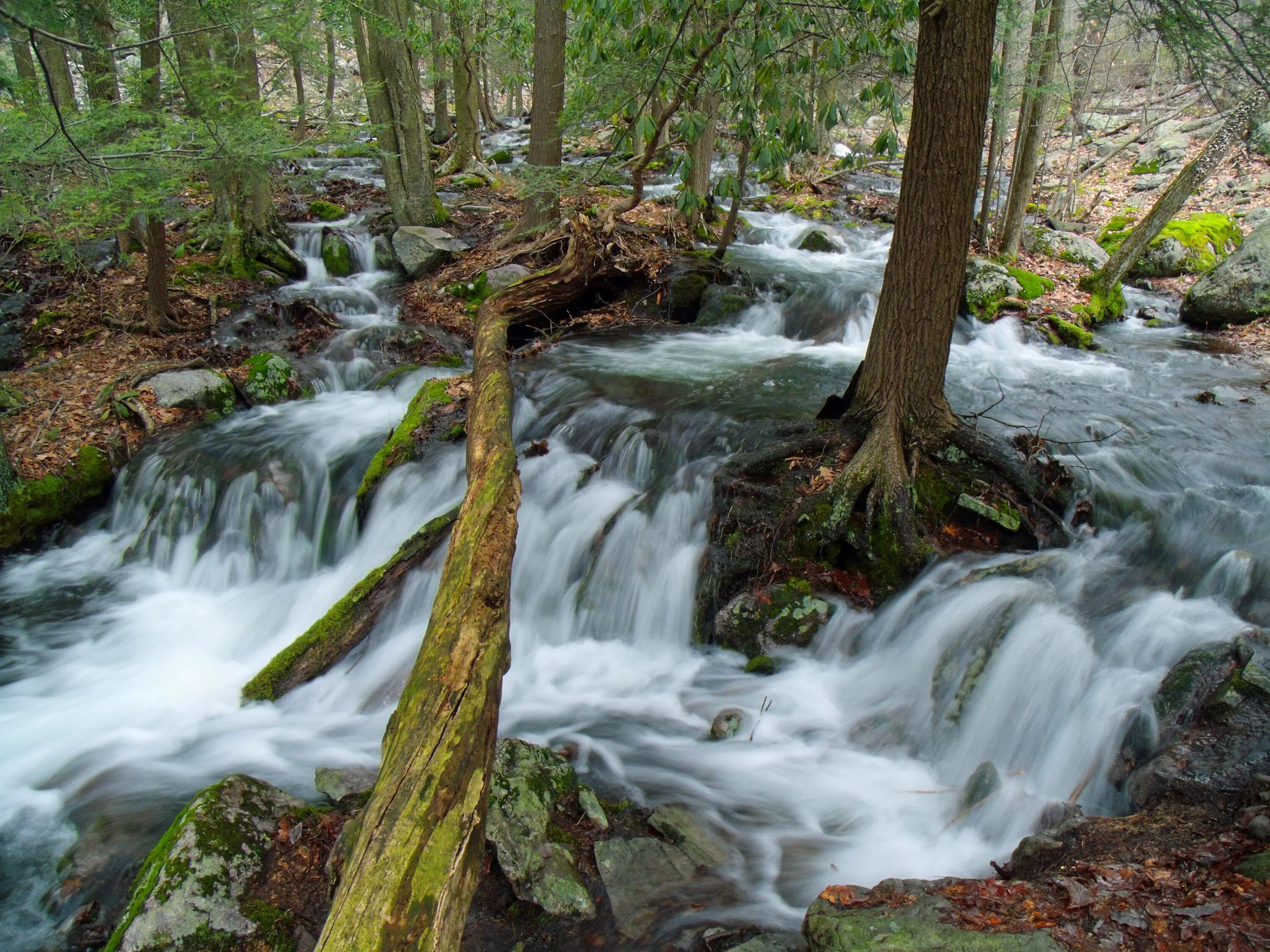 Звучание ручья. Медвежий ручей Пенсильвания США. Ручей картинка. Водопады на ручье "кислом".. Медвежий ручей Пенсильвания США водопад.