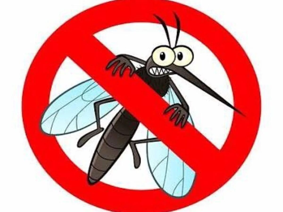 Комар иллюстрация. Против камары. Комары защита. Репеллент для отпугивания насекомых. Тайга против комаров.