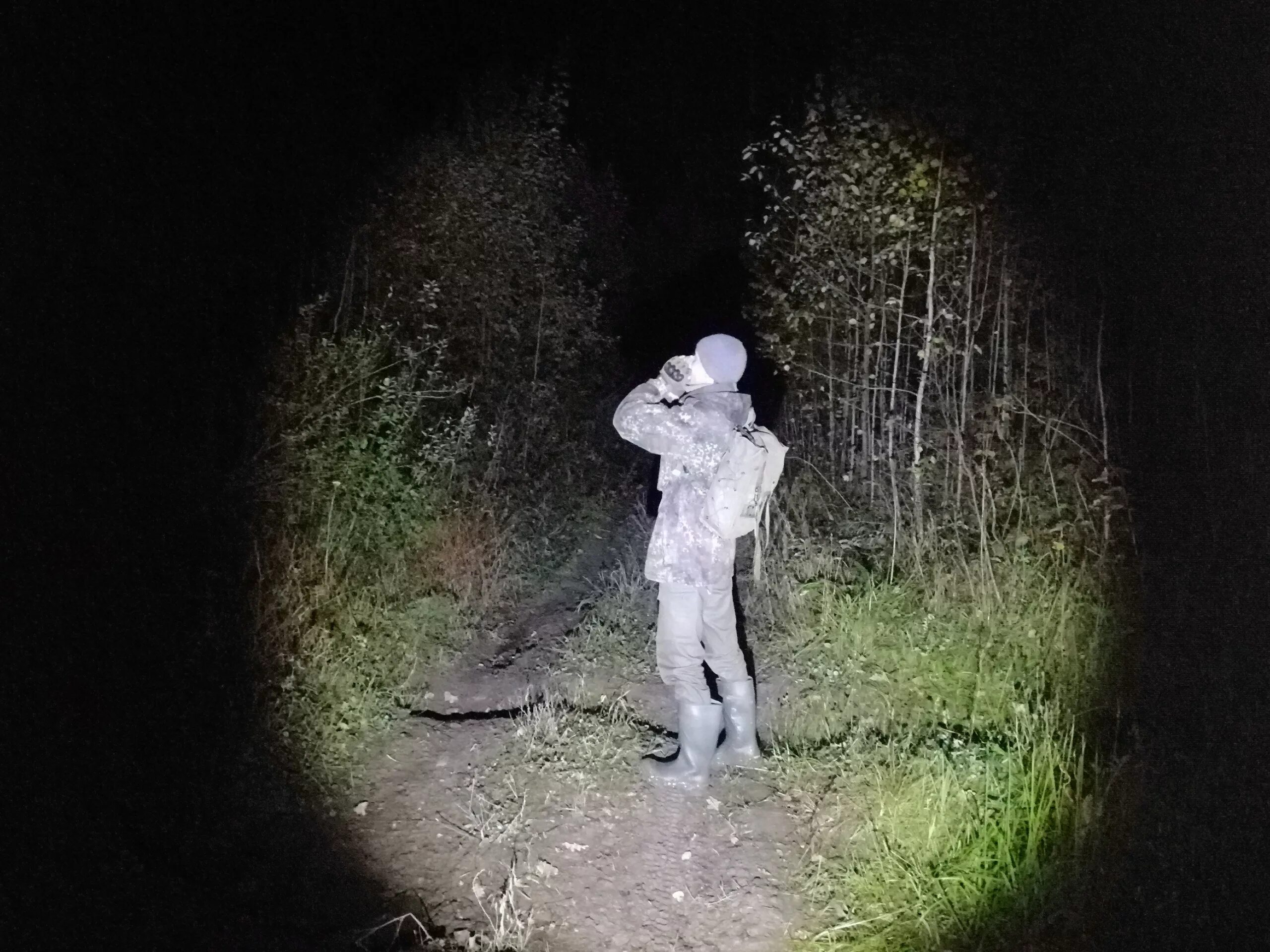 Пропавшее эхо. Заблудился в городе. Поиск пропавшего Эха. Траектория людей заблудившихся в лесу.