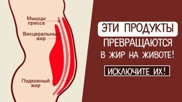 Что превращается в жир. Какие продукты превращаются в жир. как еда превращается в жир.