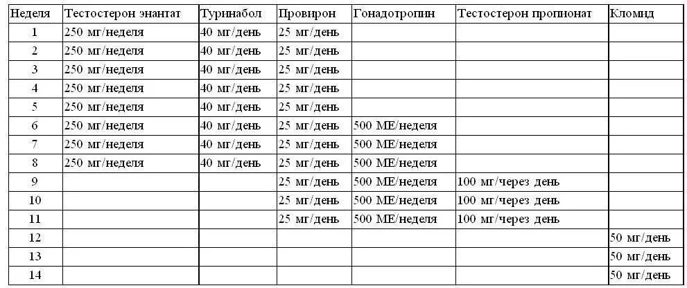 Что нужно принимать на курсе