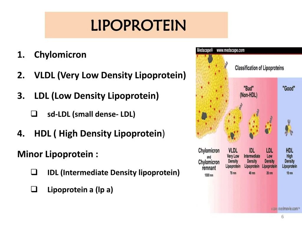 Lipoprotein. Липопротеин (a), LP(A). Липопротеин (а) small density. Липопротеин а 200.