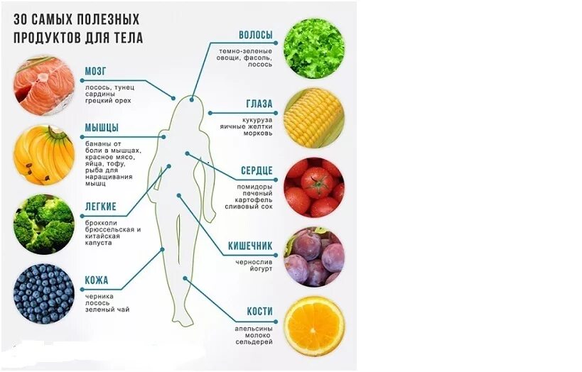 Список самых полезных продуктов. Полезные продукты для очищения кишечника. Полезные продукты для организма. 10 Самых полезных продуктов. Питание слизь